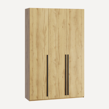 Распашной шкаф Кимбол-3-170-240 Wood
