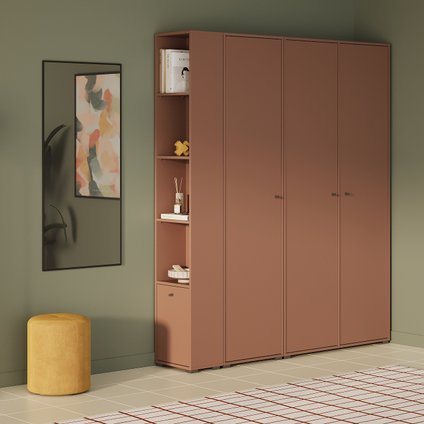 Сайрис-4 Terra