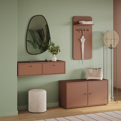 Сайрис-2 Terra