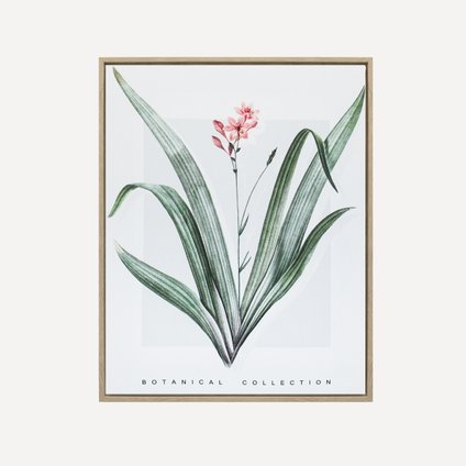 Картина Ботаник Flower