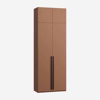 Распашной шкаф Кимбол-2.1-100-280 Terra