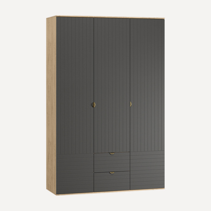 Распашной шкаф Монблан-3 Line Grafit