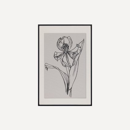 Картина Ирис-1 Grafic