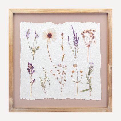 Картина Ботаник-1 Herbarium Brown