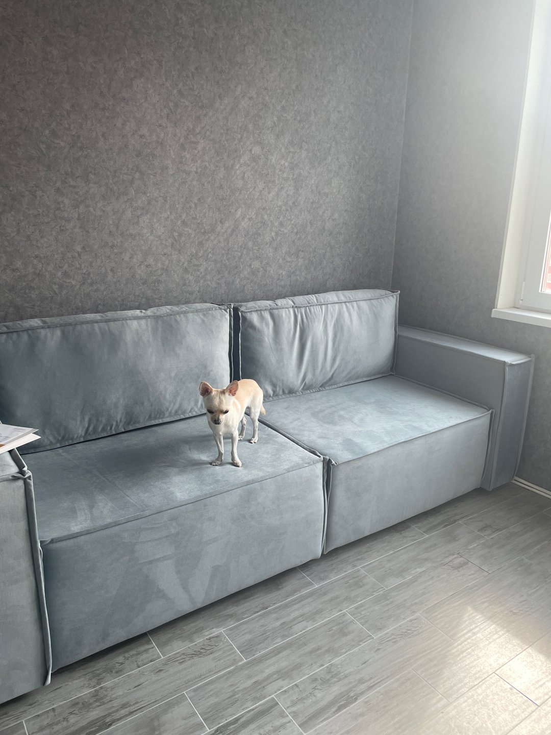 Диван Лофт Velvet Grey – купить в Москве по цене 39 990 рублей в ...
