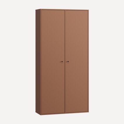 Распашной шкаф Сайрис-2 Terra