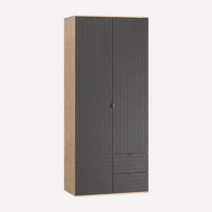 Распашной шкаф Монблан-2 Line Grafit